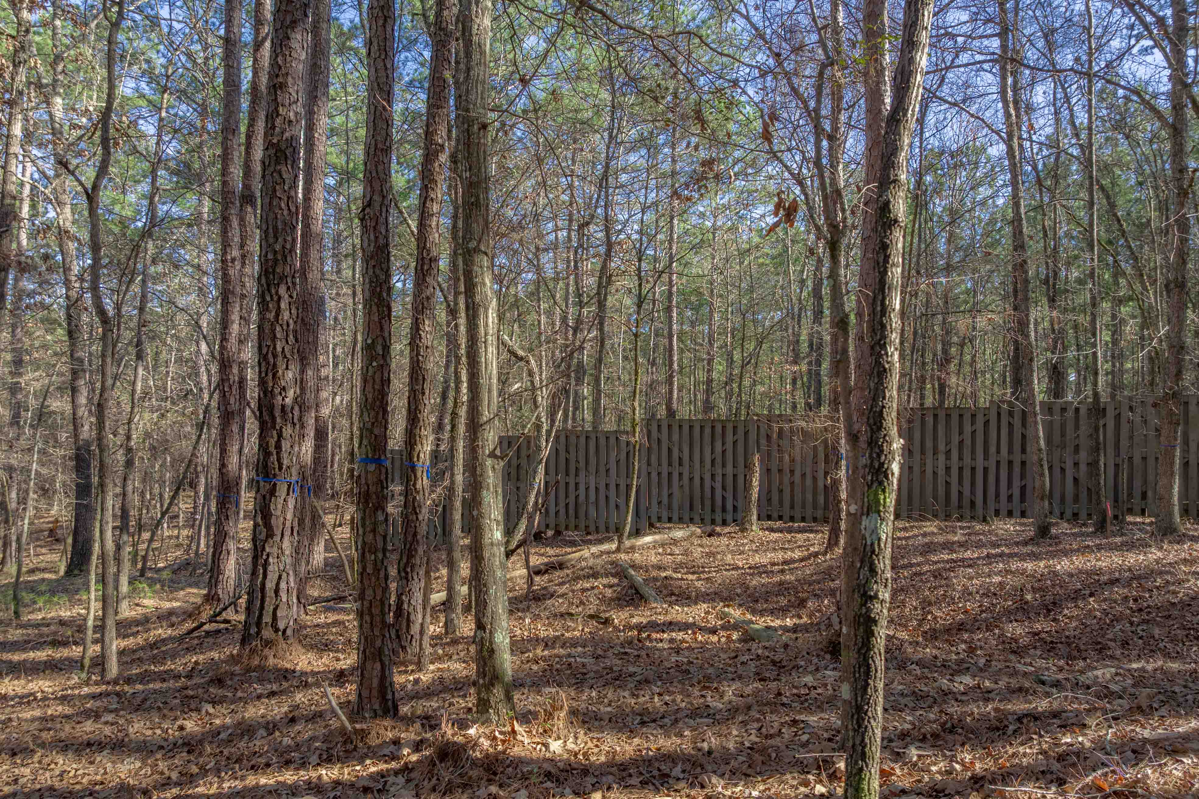 1030 Aker's Knoll image 8